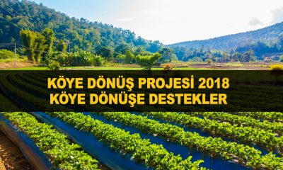 Hadi Gel Köyümüze Geri Dönelim Köye Dönüş Projesi 2019