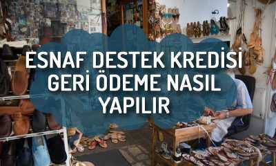 Esnaf Destek Kredisi Geri Ödeme Nasıl Yapılır?