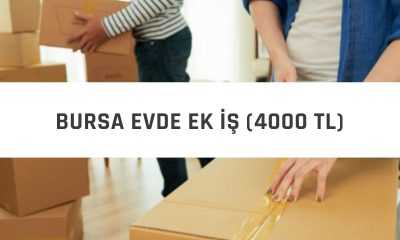 Bursa Evde Ek İş (AYDA 4000 TL KAZAN)