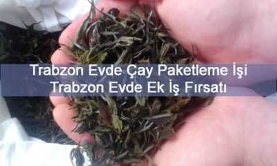 Trabzon Evde Çay Paketleme İşi 2020 (Trabzon Evde Ek İş Fırsatı)