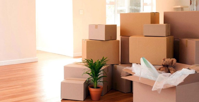 Toptan Ticaret İşi Yapmak İstiyorum! Ne Kadar Kazanırım? Singapur İş İlanları