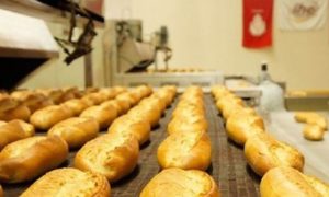 2023 Halk Ekmek Bayiliği Nasıl Alınır? (AYLIK KAZANÇ) Halk Ekmek Bayilik Ücreti