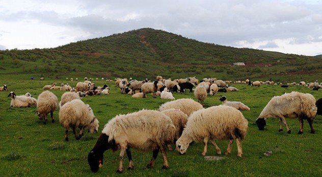 Sıfırdan iş kurmak