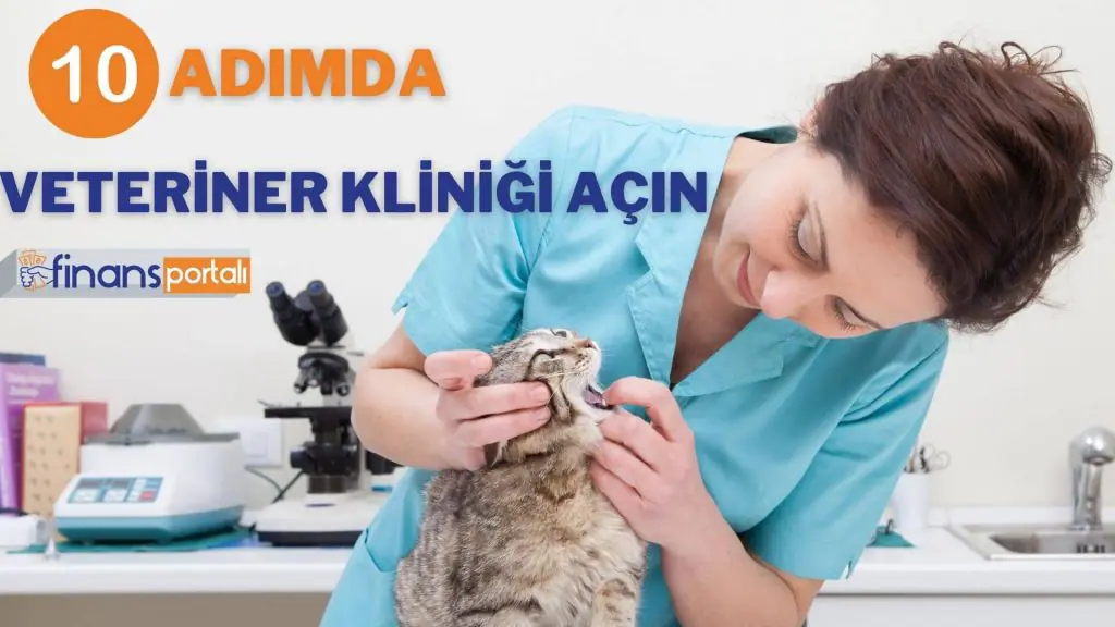10 Adımda Veteriner Kliniği Açmak - 2023 Maliyeti ve Kazancı 10 Adımda Veteriner Kliniği Açın