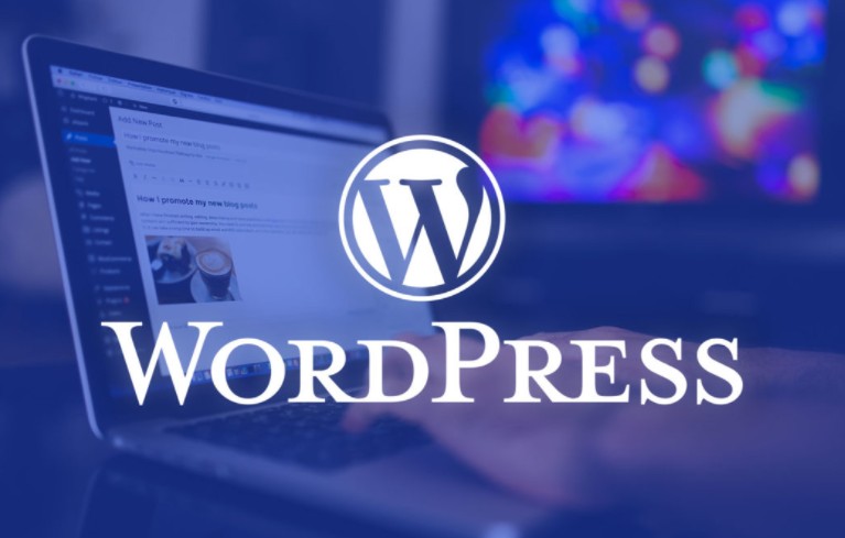 WordPress Web Sitesi Danışmanı