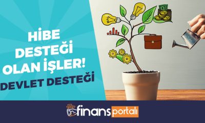 Hibe Desteği Olan İşler