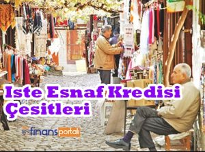 Esnaf Kefalet Kredisi Çeşitleri