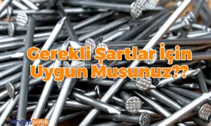 Evde Çivi Paketleme İşi - EN AZ 13.000 TL Kazanın Evde Çivi Paketleme İşi Şartları