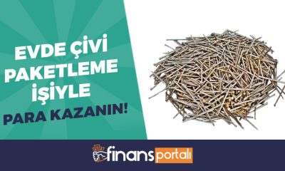 Evde Çivi Paketleme İşi