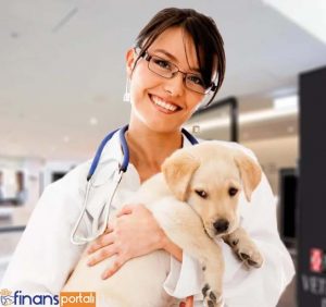 Pet Shop Açmak İçin Veteriner Olmak
