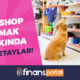 Pet Shop Açmak