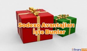 Sodexo Bozan Yerler İzmir - Güncel Bilgiler 2023 Sodexo'nun Sağladığı Faydalar