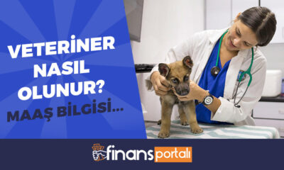 veteriner nasıl olunur?