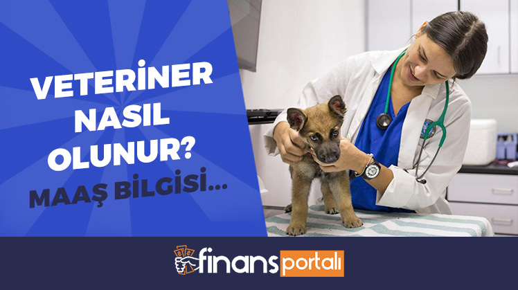 veteriner nasıl olunur?