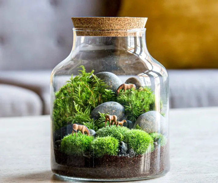 İş Kurmak İstiyorum Ne İş Yapabilirim? - 2023 EN KARLI İşler! Terrarium Satın