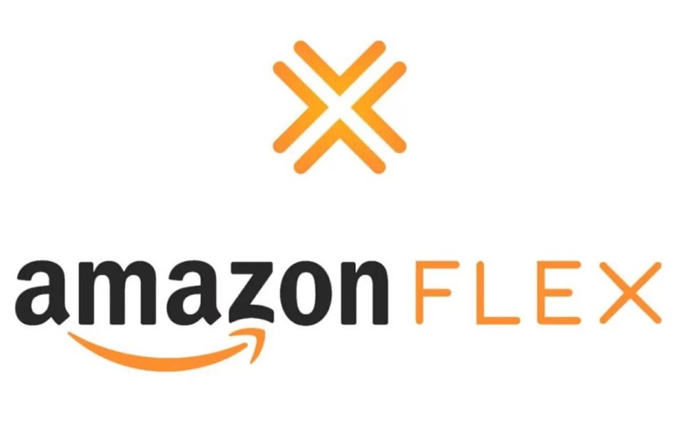 Flex Programı