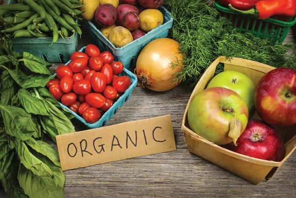Organik Gıda Satışı | Ticaret Yapmak İçin Fikirler