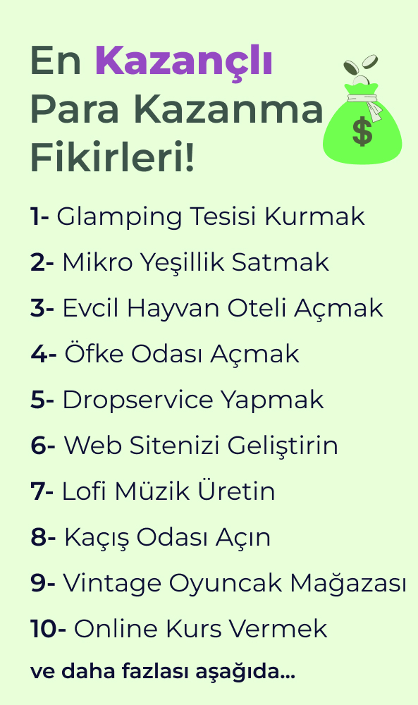Para Kazanma Fikirleri