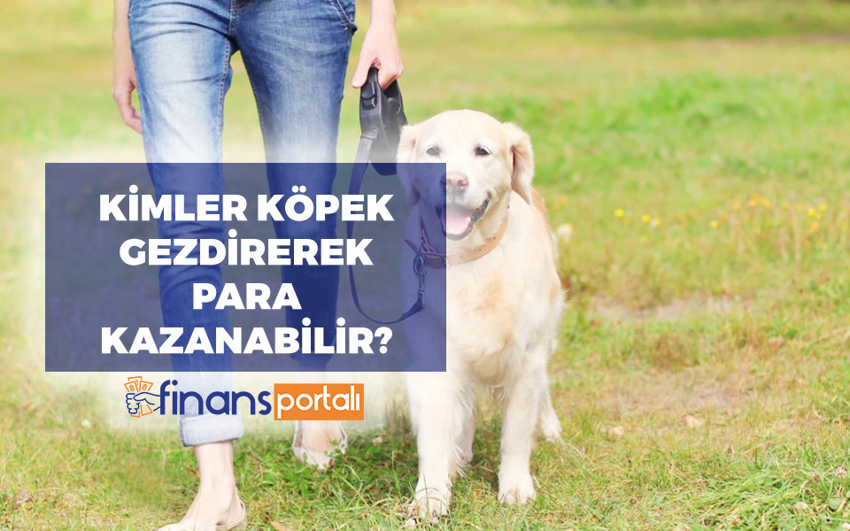 Köpek Gezdirerek Para Kazanmak - GÜNDE 200 TL KAZAN! köpek gezdirerek para kazanmak