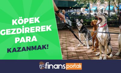 köpek gezdirerek para kazanmak