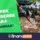 köpek gezdirerek para kazanmak