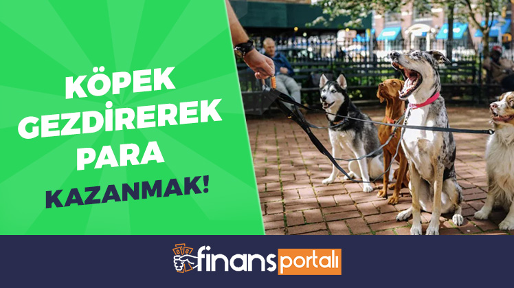 köpek gezdirerek para kazanmak