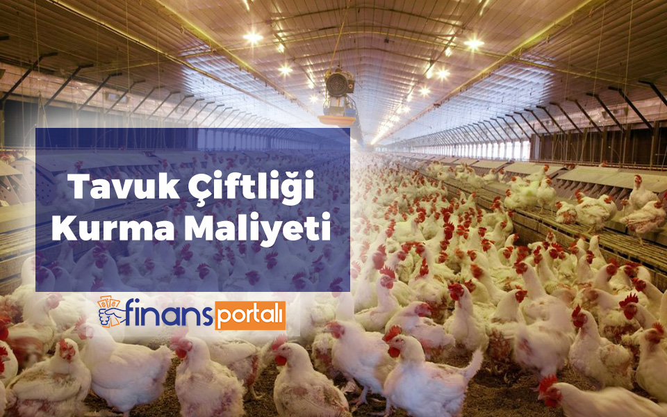 Tavuk Çiftliği Maliyeti